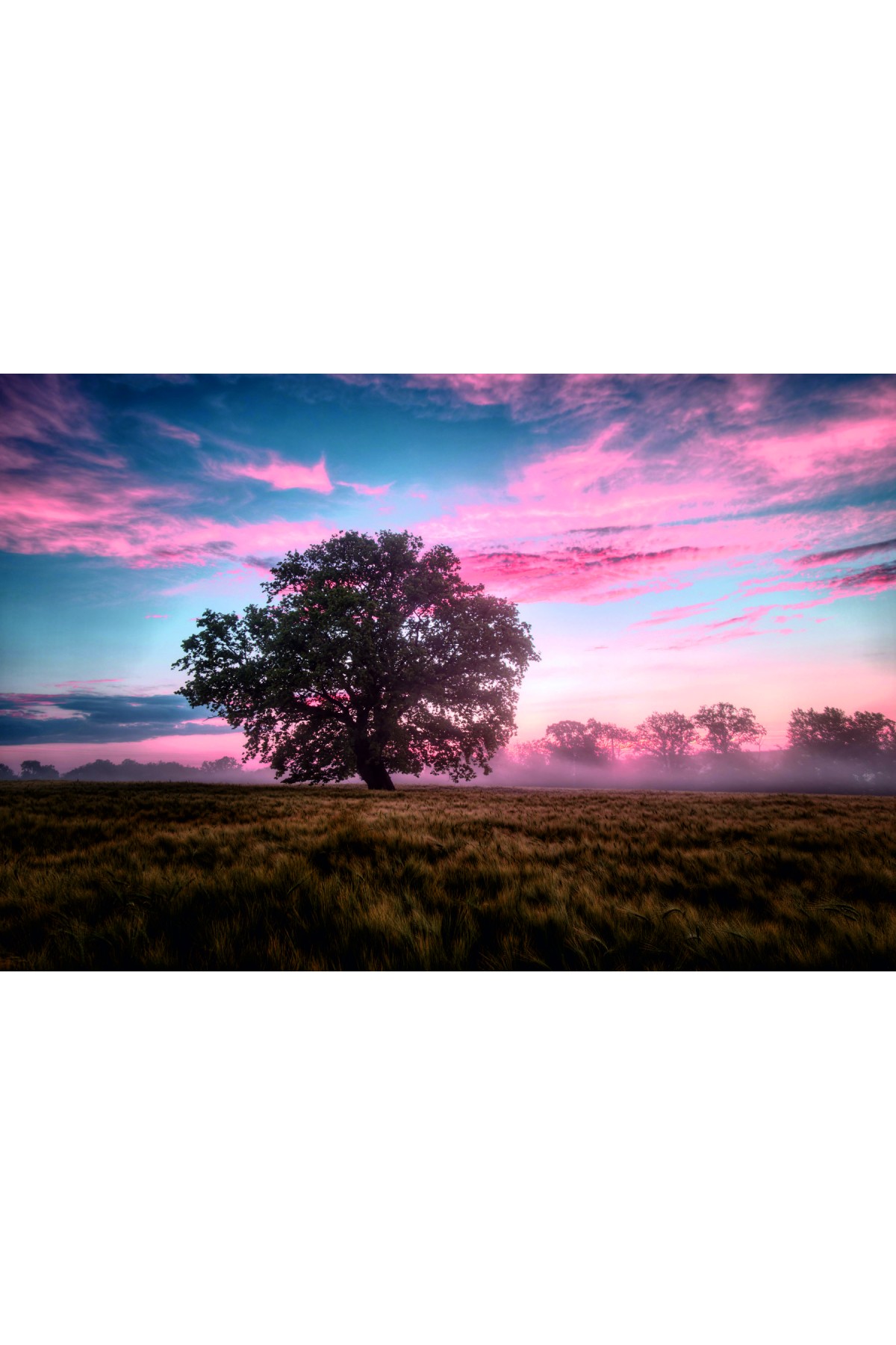 Tree Ambient Kanvas Tablo Tree Ambient Kanvas Tablo