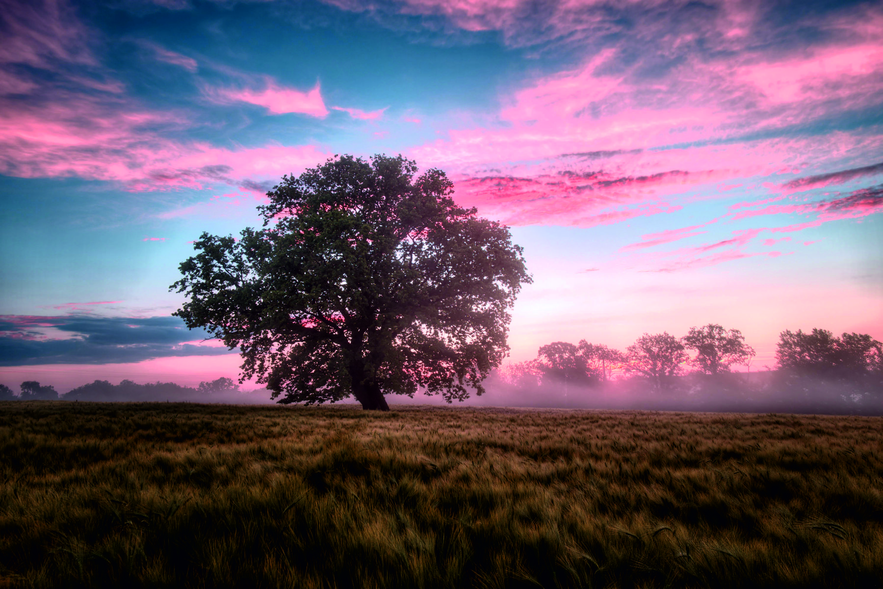 Tree Ambient Kanvas Tablo