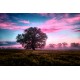 Tree Ambient Kanvas Tablo Tree Ambient Kanvas Tablo